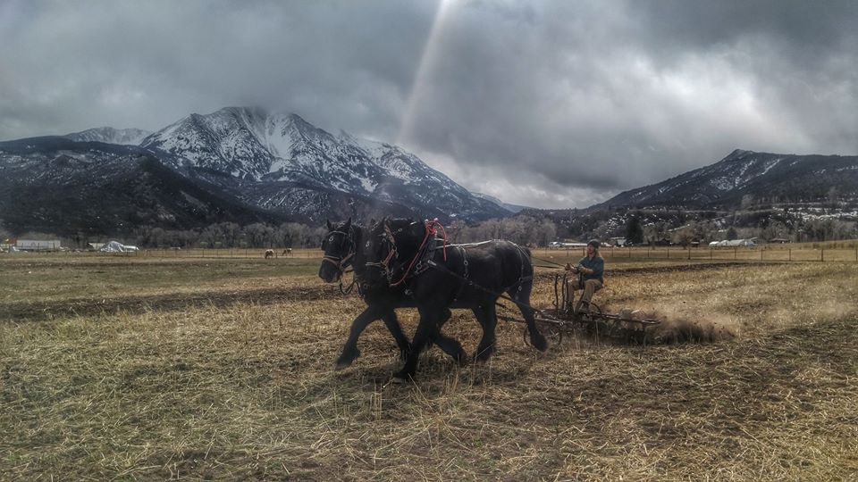 1012702_1095909403764642_5640427030423238431_n 1012702_1095909403764642_5640427030423238431_n