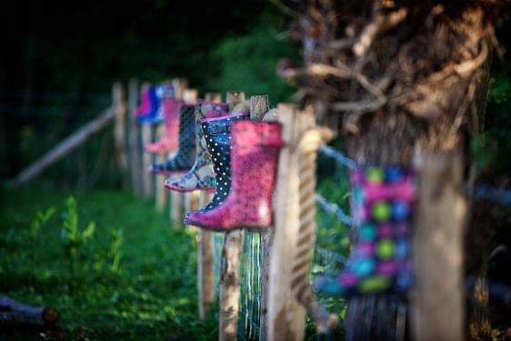 10532343_455743314568829_8498339868315633677_n