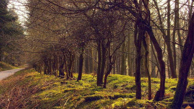 11068379_853361561368822_5625841147592894264_n 11068379_853361561368822_5625841147592894264_n