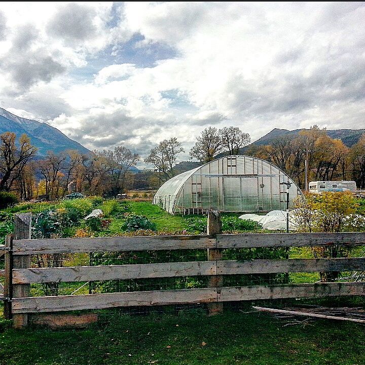 12063554_1013776718644578_4177934997373075847_n 12063554_1013776718644578_4177934997373075847_n