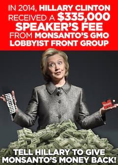 12801669_10207629360006053_9051539346429380277_n 12801669_10207629360006053_9051539346429380277_n