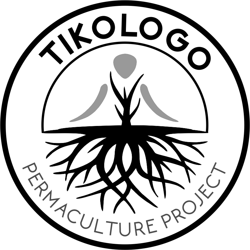 14720594_1795721643984837_4504599449656612396_n 14720594_1795721643984837_4504599449656612396_n