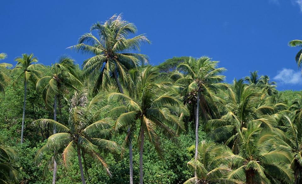 1484699_871847399520238_2839451639956214330_n 1484699_871847399520238_2839451639956214330_n