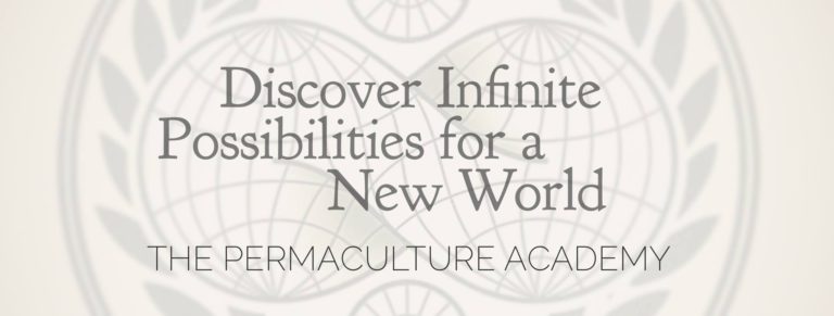 Permaculture Academy