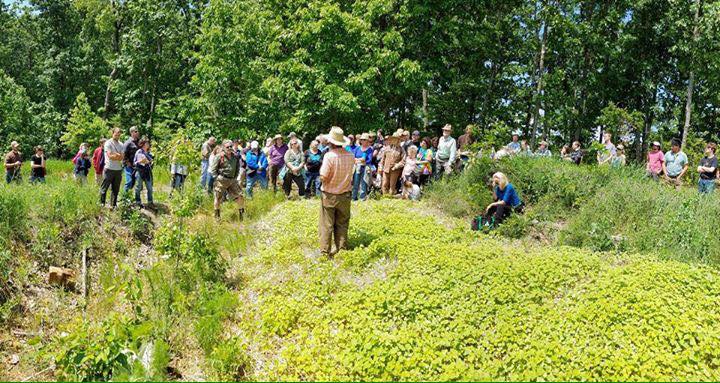 18403059_1272537176129575_6509794689169568818_n