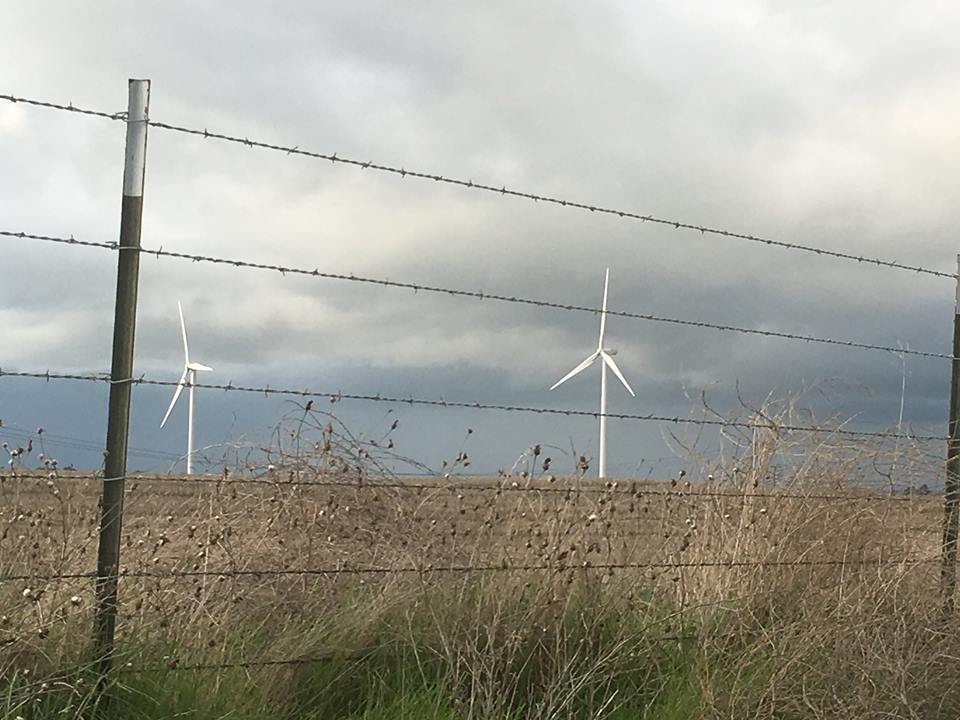 18664693_853984008110516_7057162183603280696_n