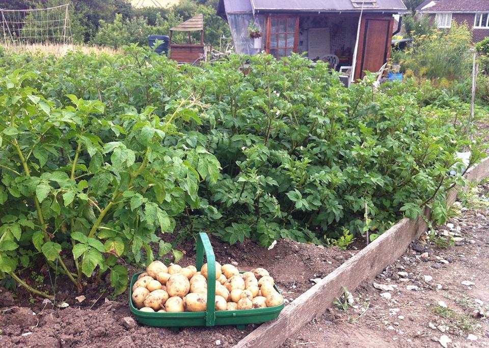 19875203_1570018679739917_7079018107411572755_n