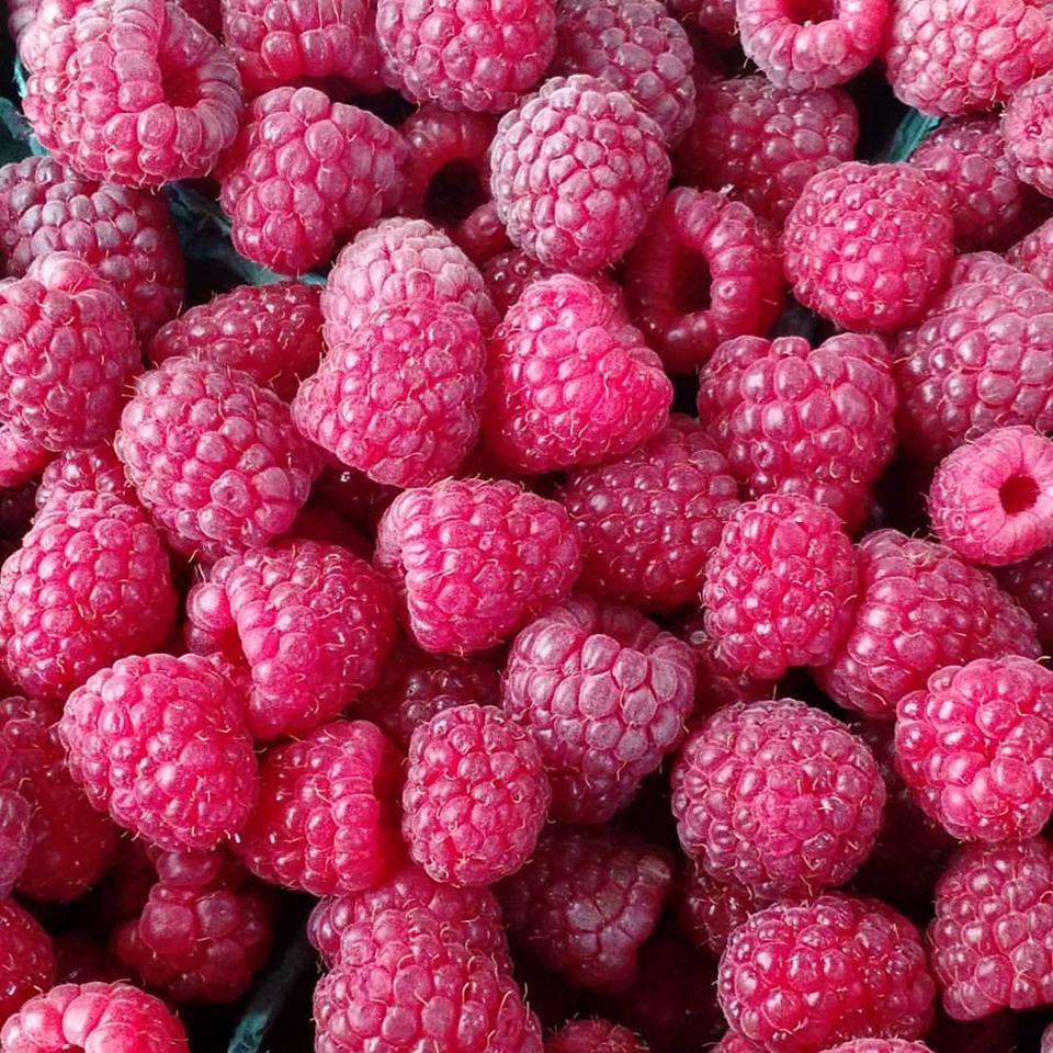 19989565_655600334635517_1394861616334474435_n 19989565_655600334635517_1394861616334474435_n