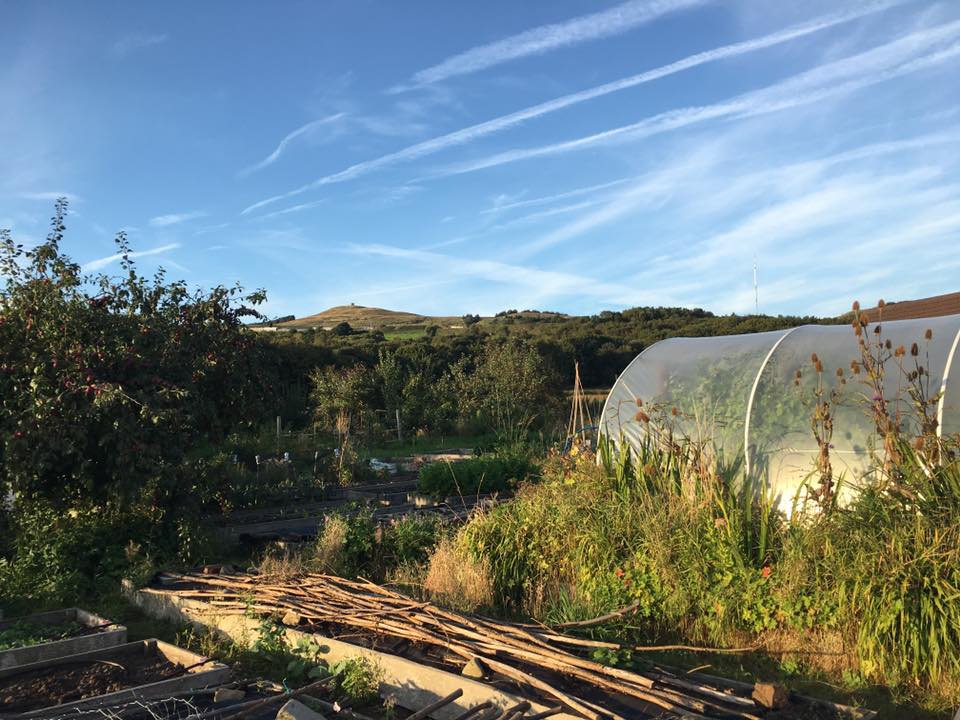 21078795_340858712992702_8134009568273251213_n