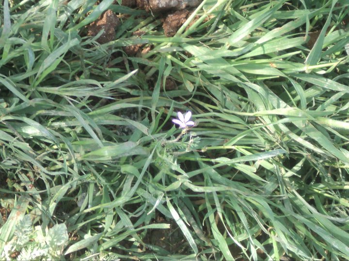 218067_176050075778815_8281277_n