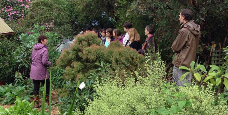 Permaculture Sydney North