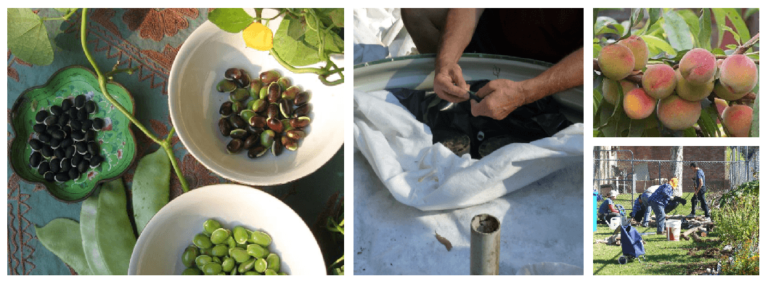 Permaculture Central Coast