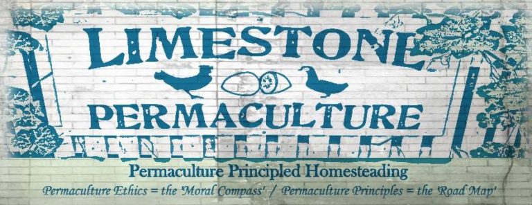 Limestone Permaculture