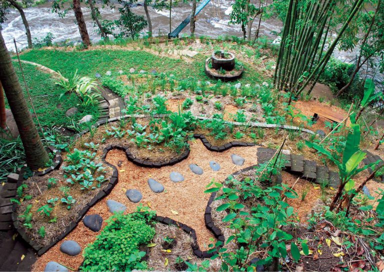 Permaculture Cairns Inc