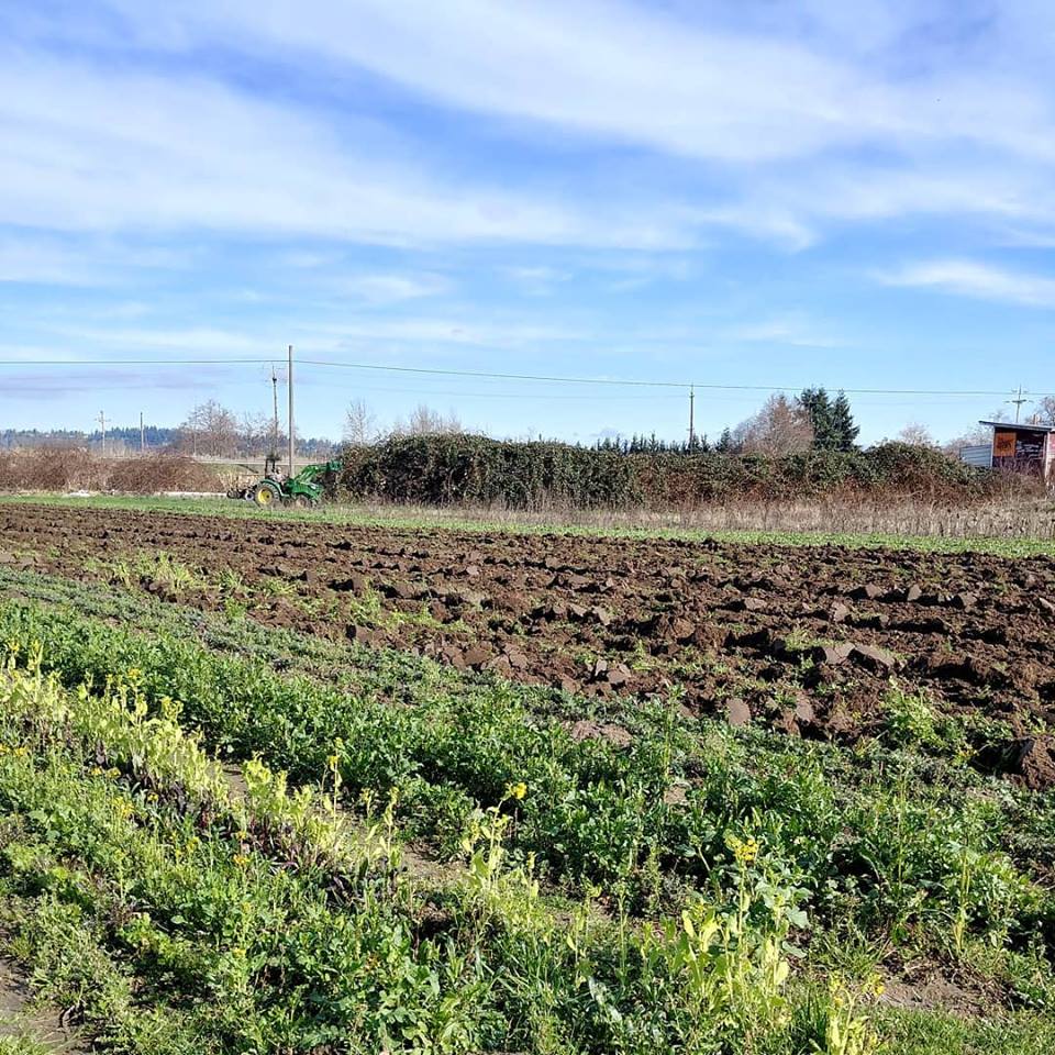 27752572_746311122231104_4822645310921073566_n 27752572_746311122231104_4822645310921073566_n