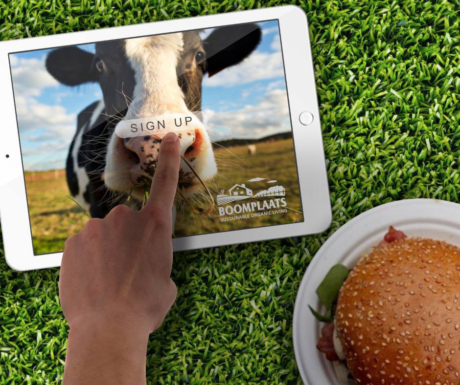 28059291_2028752650681689_2694255777032237241_n