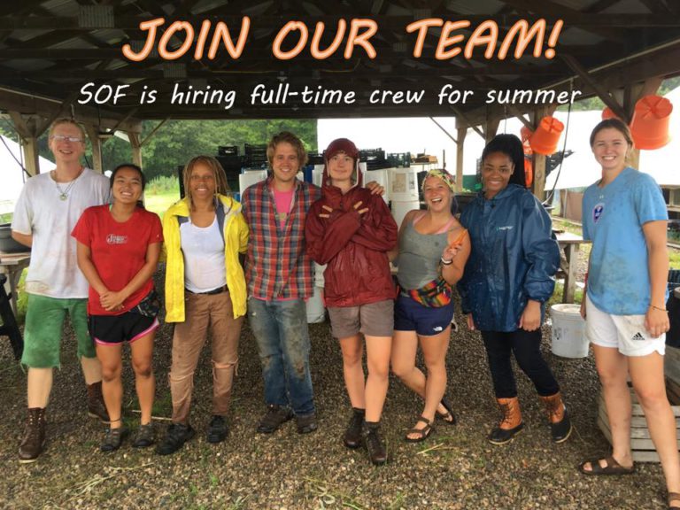 MSU Student Organic Farm and Organic Farmer Training Program