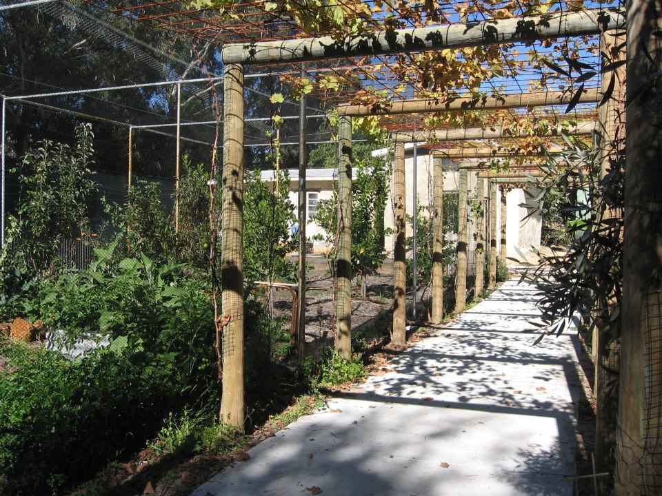 308277_365481150155017_1186906796_n