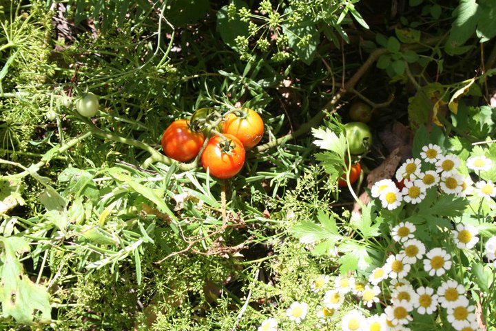 31760053_10156298360023180_8973607134402969600_n