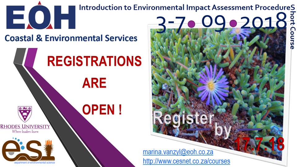 32457791_454355881687067_2525595406050525184_n