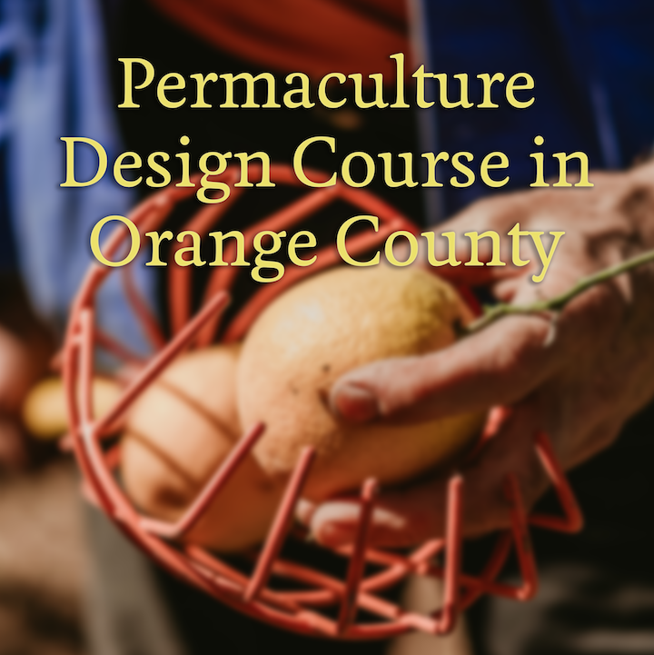 37679991_1904778672899194_2519680033493090304_n 37679991_1904778672899194_2519680033493090304_n