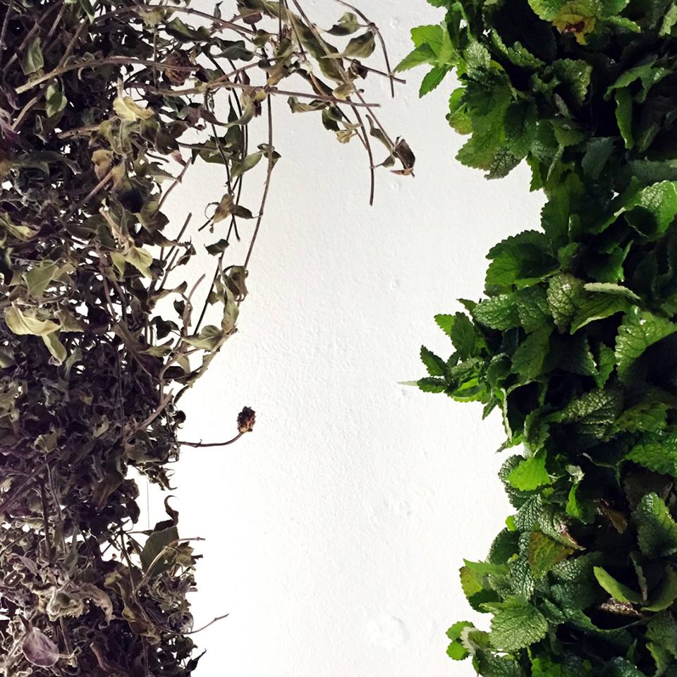 37761449_2114558218767843_5667862487043670016_n 37761449_2114558218767843_5667862487043670016_n