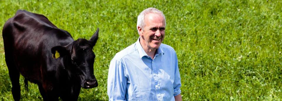 37904292_1802190863191619_6182317702732840960_n