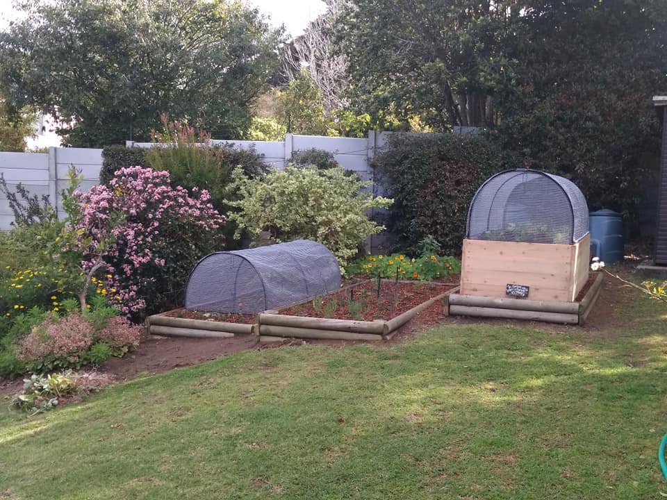 40632474_555719374858957_7004942770439716864_n