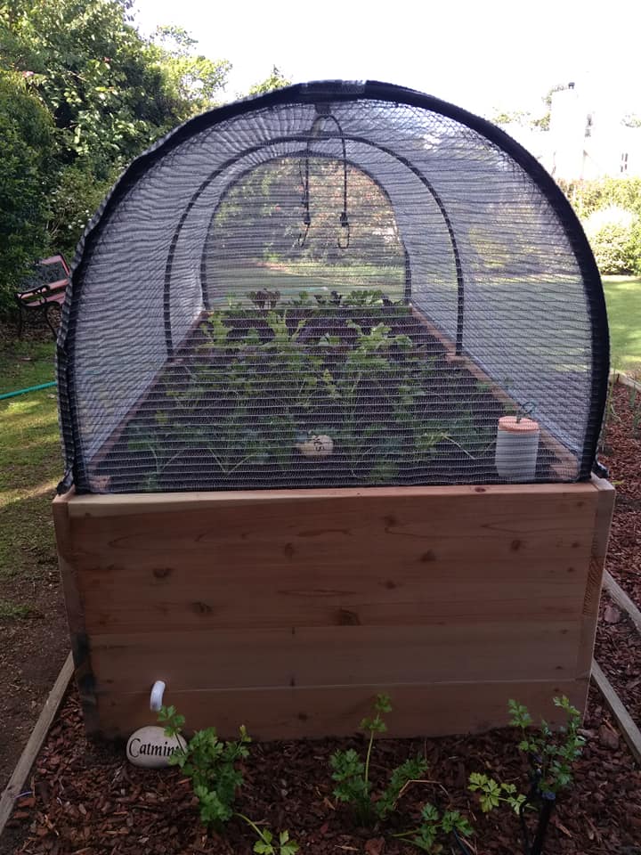 40671940_555719144858980_3755151264795590656_n