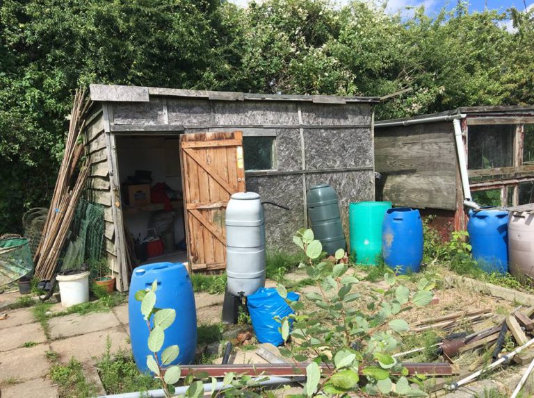 Newhall Allotments