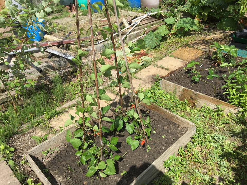 40835817_232902207377764_4423419438427013120_n