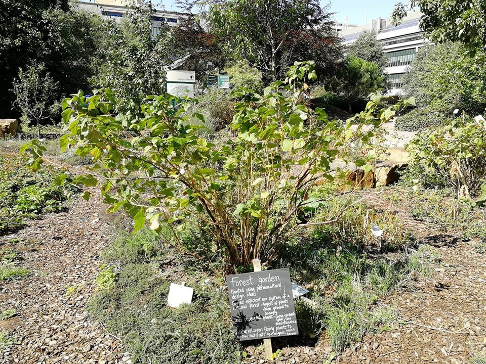 41109614_10155756881981526_196474838028648448_n