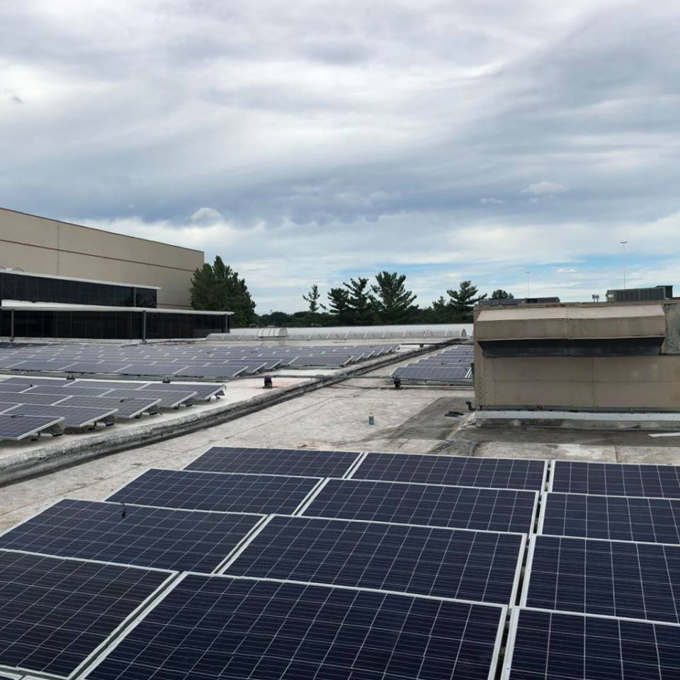 41840056_10156566768016411_3891859090279759872_n