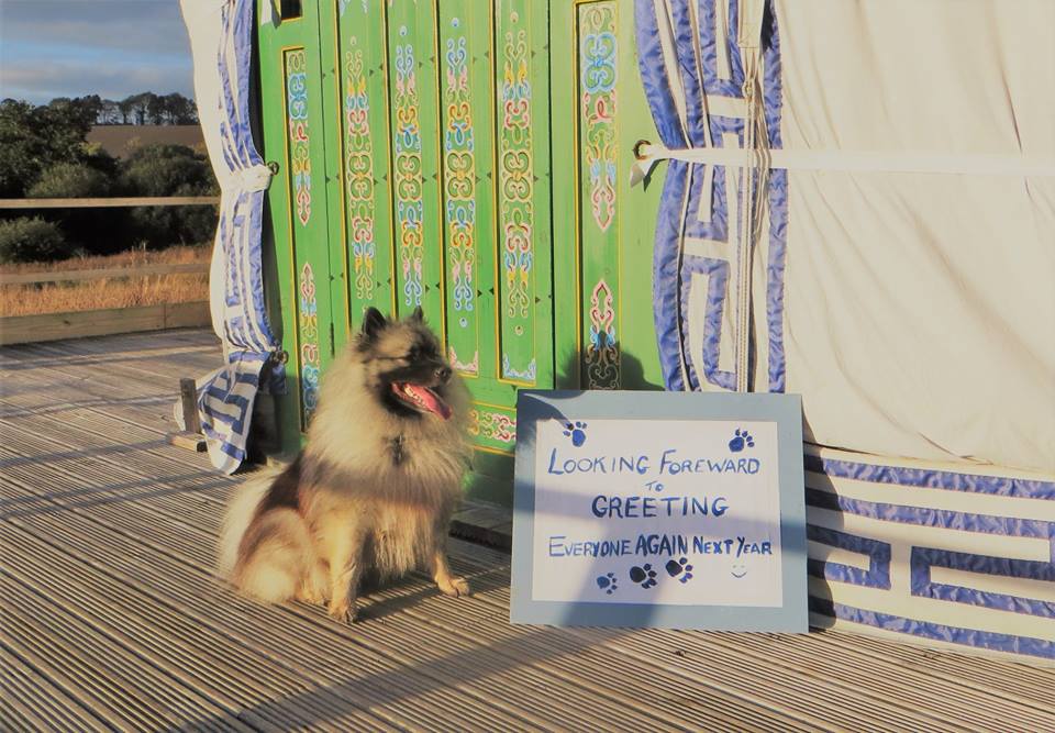 42871454_2215386475408865_2310091436244074496_n 42871454_2215386475408865_2310091436244074496_n