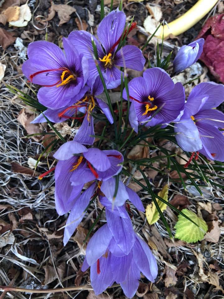 44474701 10155547467061227 5648367170925625344 n