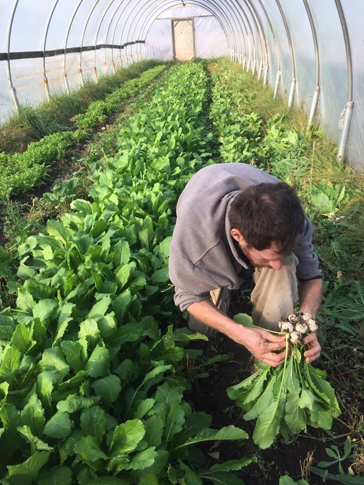 45073601_10160944564345463_7833252575255199744_n