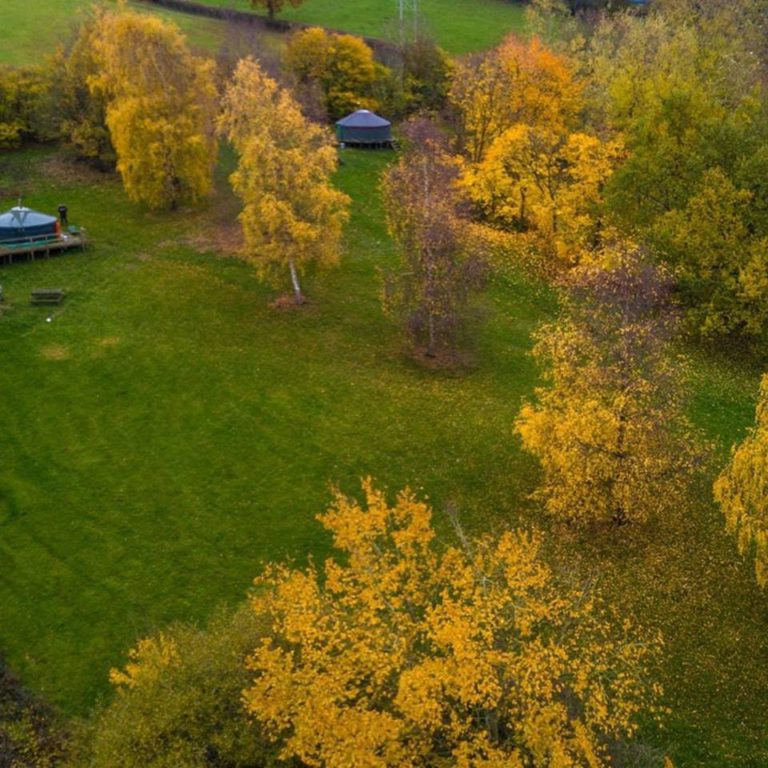 Strawberry Skys Yurts