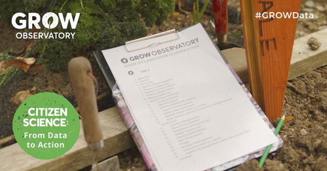 46425175_10156963140263708_4966292159201280000_n