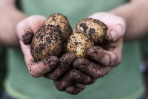 46831160_2013059328772966_526702937703972864_n 46831160_2013059328772966_526702937703972864_n