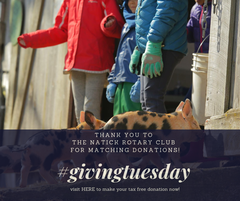 46879914_10156932608751926_7685585333261434880_n 46879914_10156932608751926_7685585333261434880_n