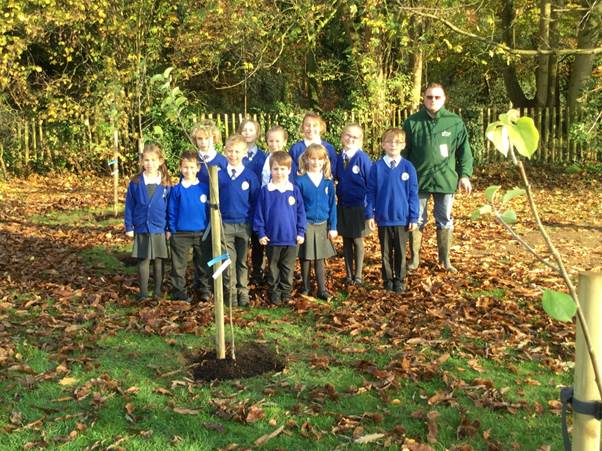 46892106_1976778639066173_2472447066958200832_n