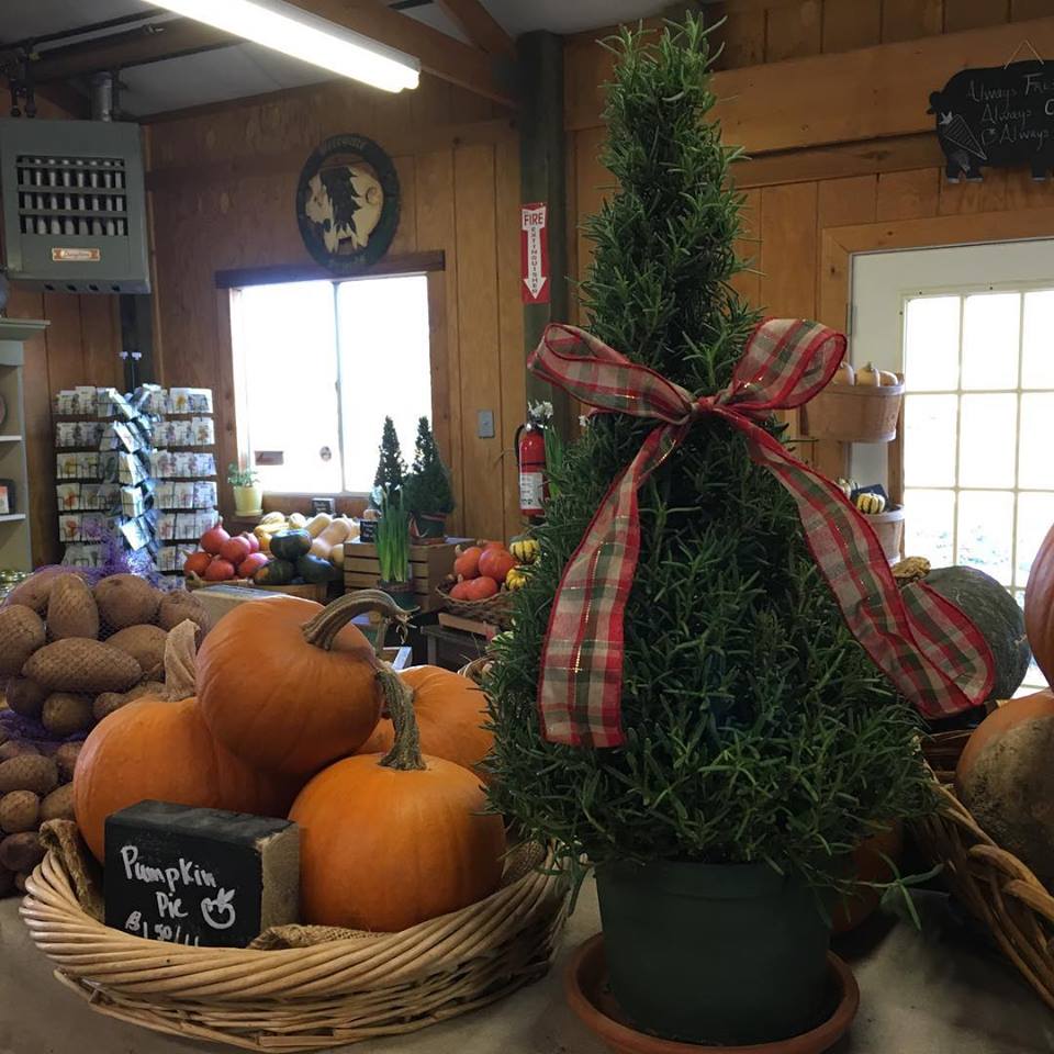 47032368_10157875361308056_7285921034182590464_n