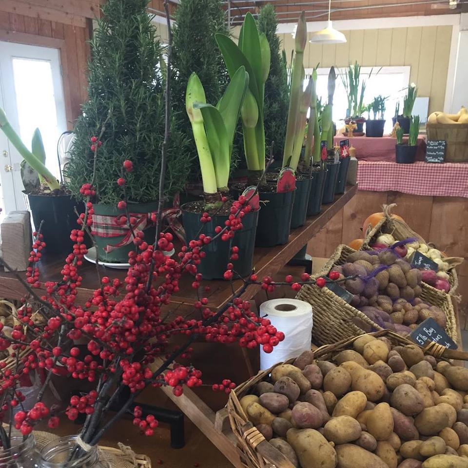 47055513_10157886203908056_5363703928321998848_n