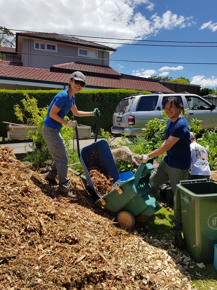 47175979_2266170000296732_7163571718160646144_n 47175979_2266170000296732_7163571718160646144_n