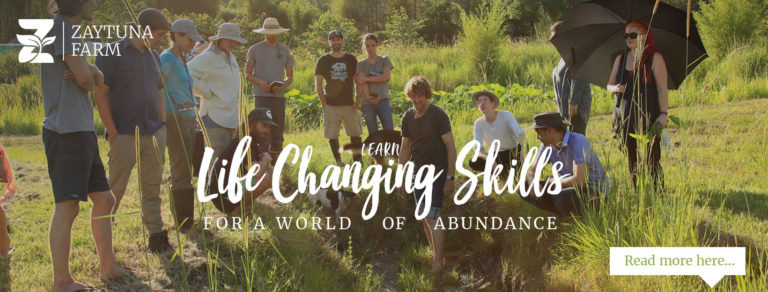 Zaytuna Farm: Home of the Permaculture Research Institute