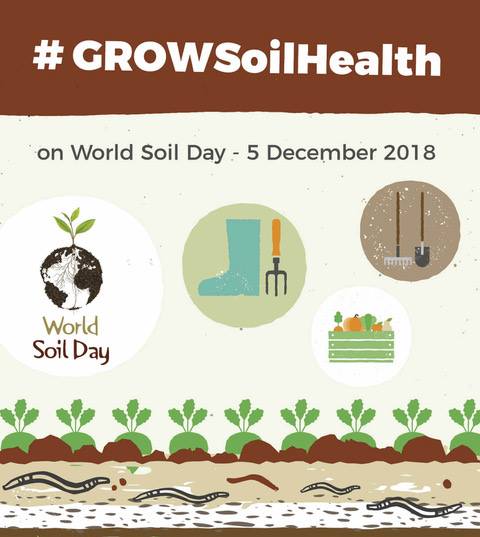 47478105_10157007663523708_7556295066621313024_n