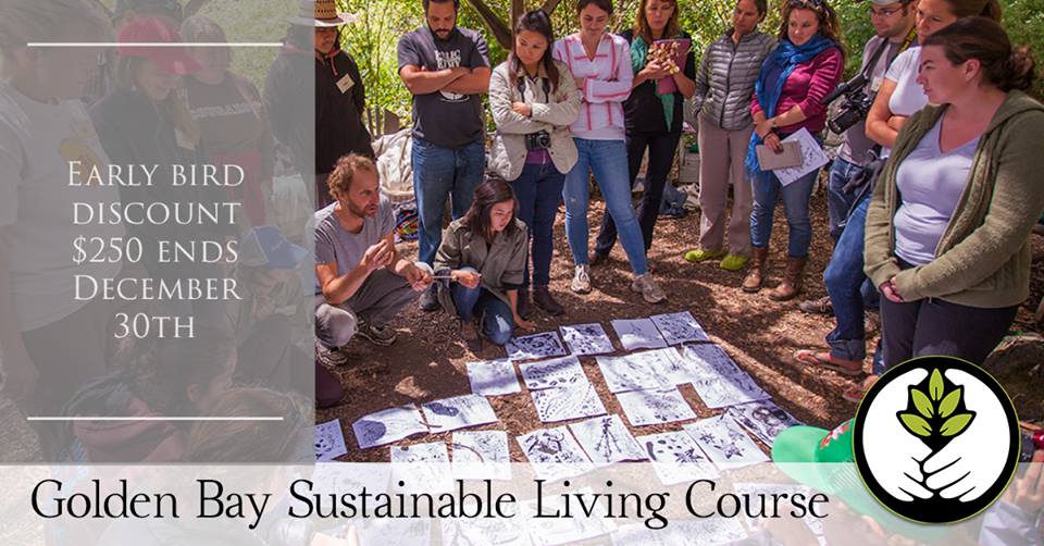 47573400_10216028755164622_4744184028637167616_n