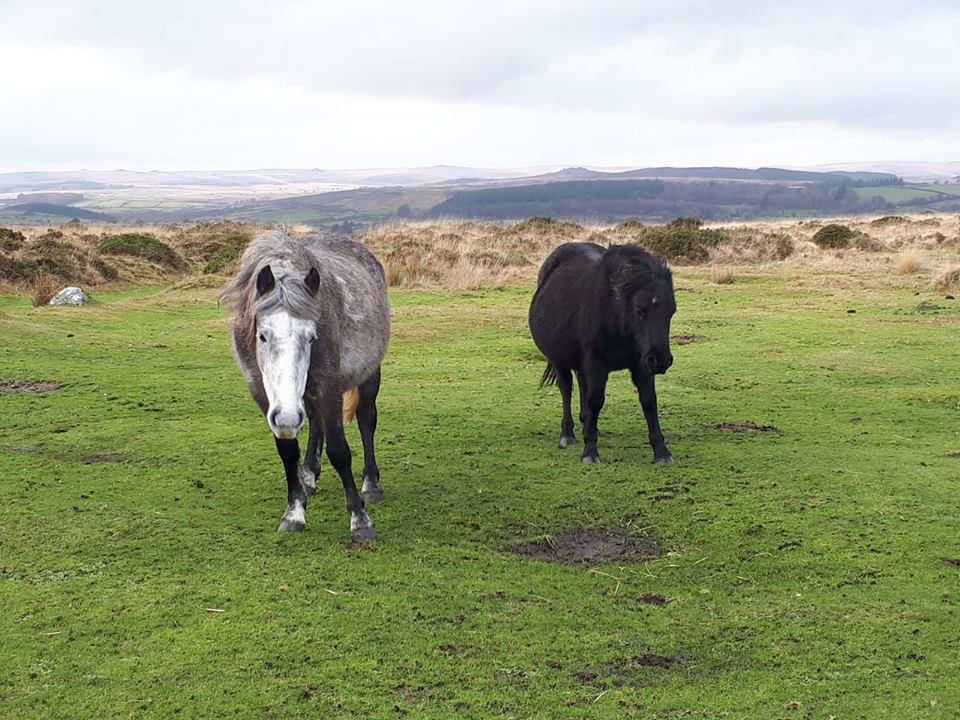 48046396_1527980367305544_5616446278197051392_n 48046396_1527980367305544_5616446278197051392_n