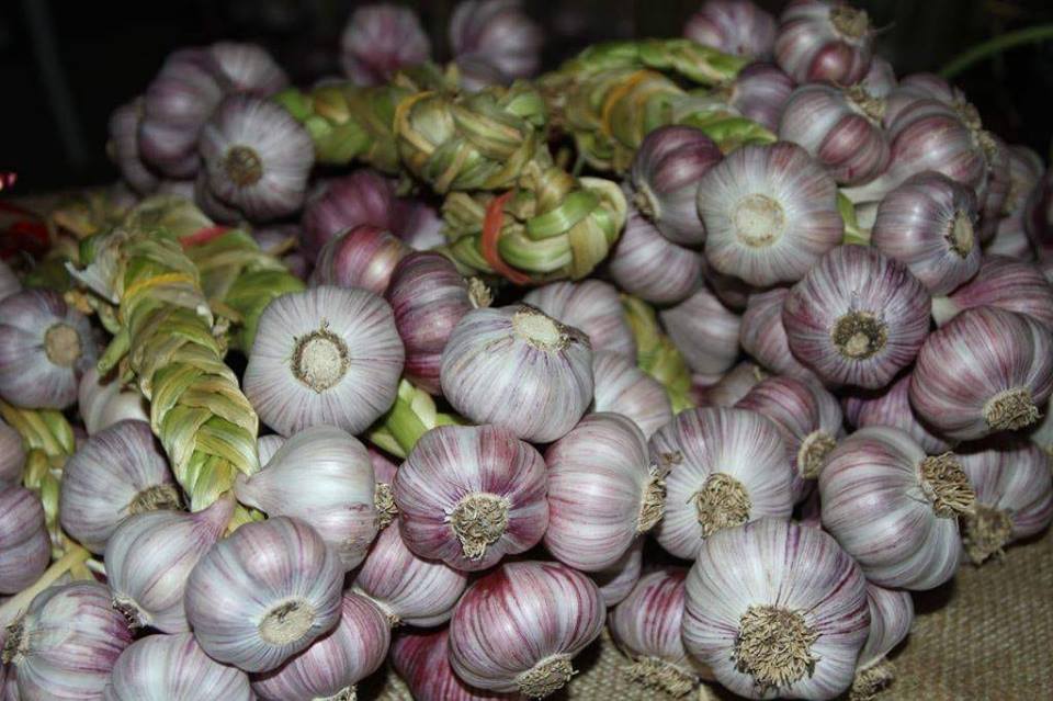 48275820_2281286955276610_2002467594828775424_n 48275820_2281286955276610_2002467594828775424_n