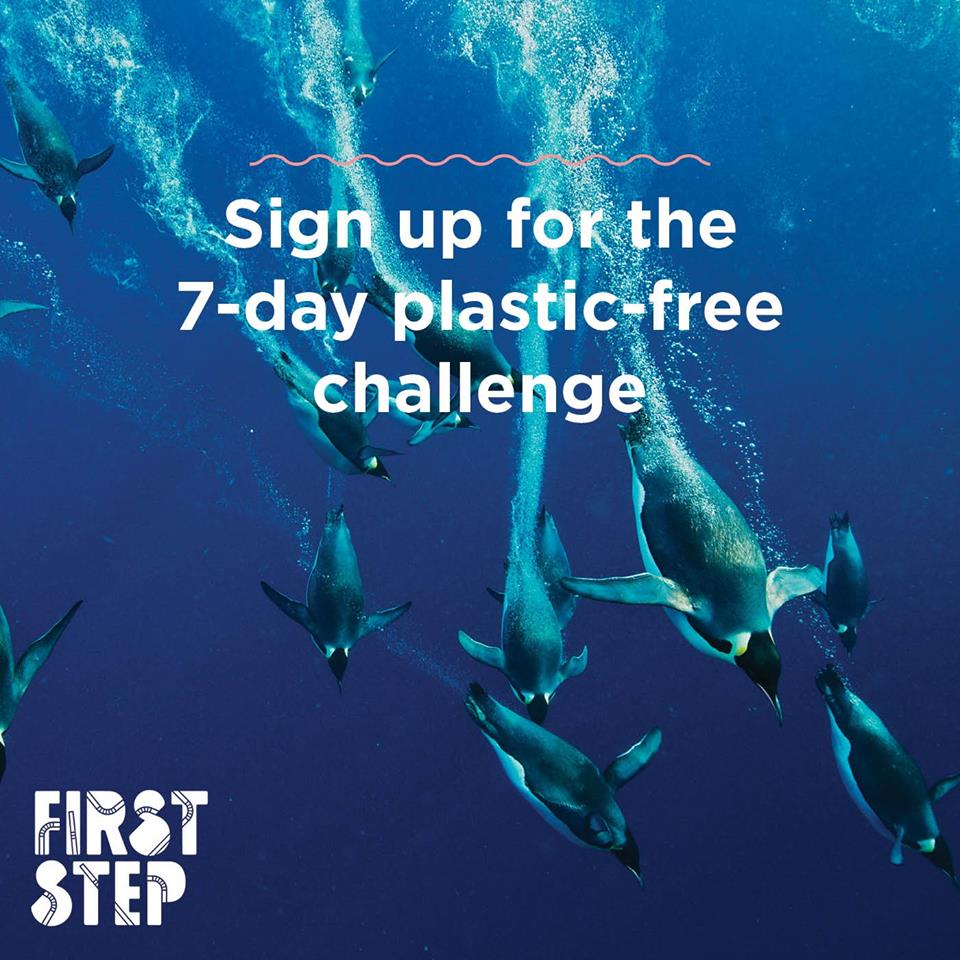 48359322_10156705008157976_3360662994013913088_n 48359322_10156705008157976_3360662994013913088_n